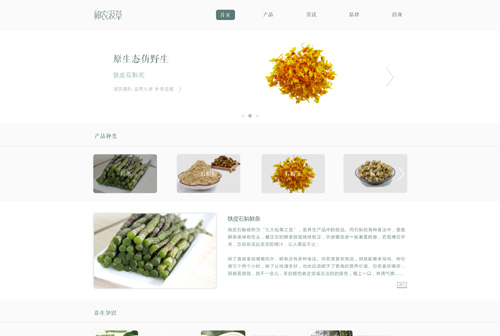 网站案例