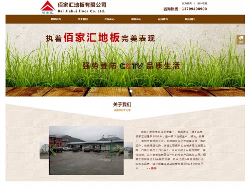 网站案例