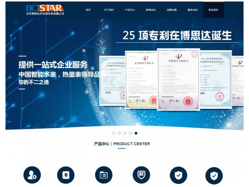 网站案例