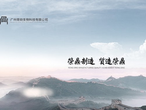 网站案例