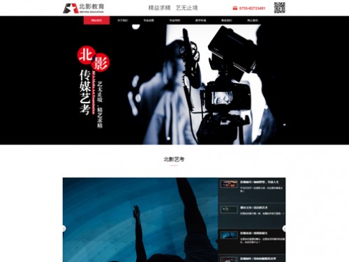 网站案例
