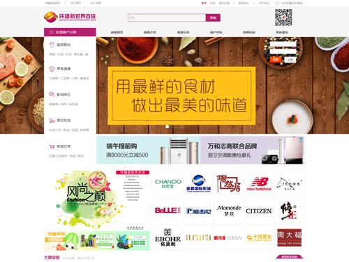 网站案例