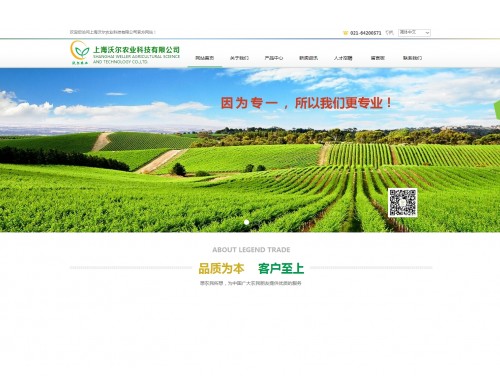 网站案例