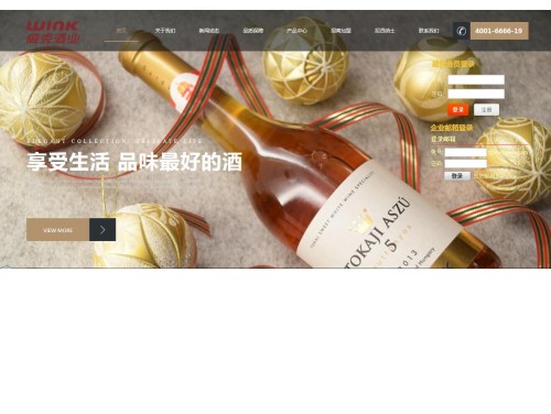 网站案例
