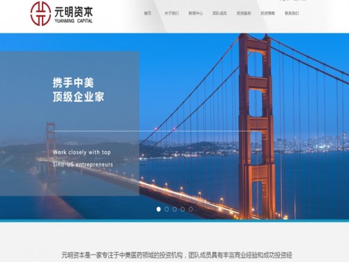 网站案例